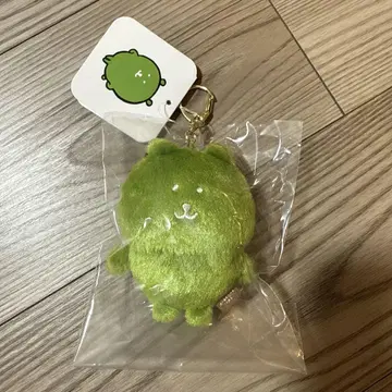 나가노 마켓 말차 컬러 나가노의 곰 마스코트