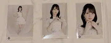 이코럽 생사진 사사키 마이카 아레나 투어 2025 의상 컴프