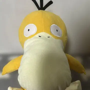코닥 빅 봉제 인형