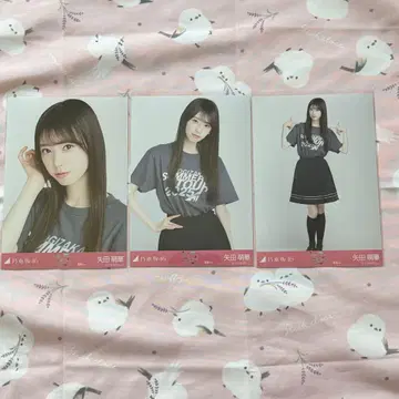 즉시 구매 야타 모에카 후쿠오카 컴프 한여름 전국 투어 20251