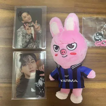 StrayKids KARMA SKZOOver. 돼끼 세트