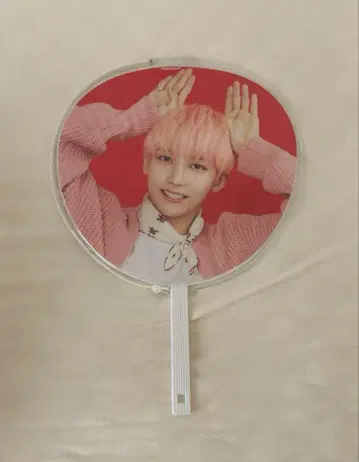 SEVENTEEN 세부치 정한 부채