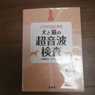 개와 고양이의 초음파 검사