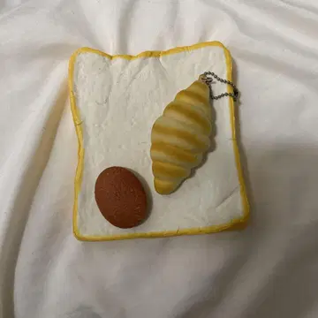 스퀴즈