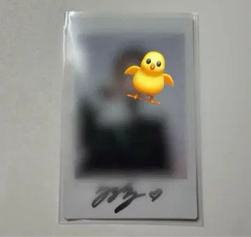 straykids 필릭스 친필 사인 폴라로이드