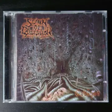 Spawn Of Possession / Cabinet [ 수입반 ]