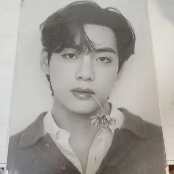 프리미엄 사진 BTS MONOCHROME V 태현