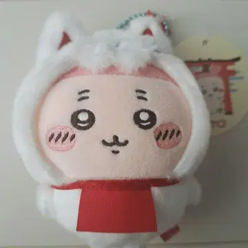 치이카와 (먼작귀) 모구모구 본점 카니짱 헌책방 교토 후시미