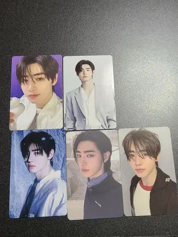 성훈 트레이딩 카드