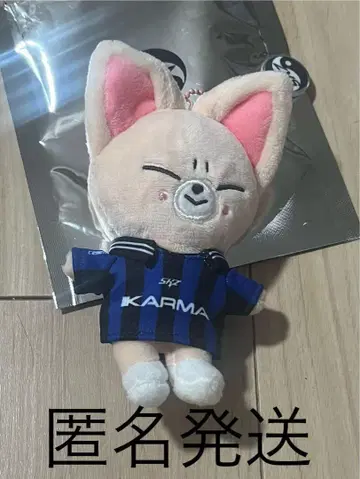 Stray kids KARMA SKZOO 폭시니 아이엔