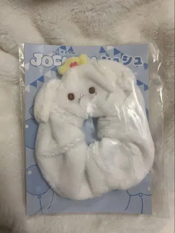 JOCHUM RURU 루루 스크런치 시로이와 루키