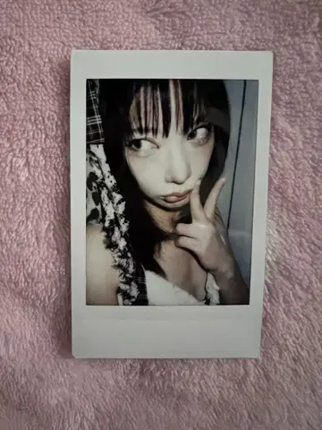 카티 폴라로이드