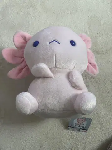 우사루파 봉제 인형