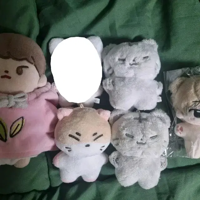 세븐틴 호찌,멍멍찬,호시 사람 인형 급처!!!