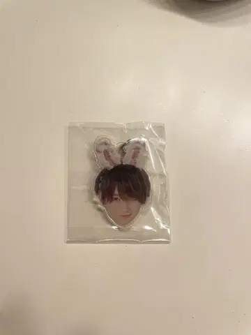 태양 메지루시 액세서리