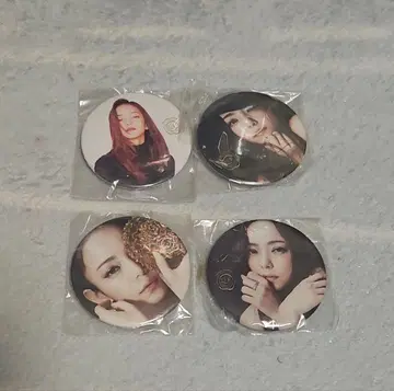아무로 나미에 캔 마그넷 4개 세트