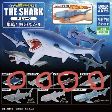 THE SHARK 상어 피규어 4종