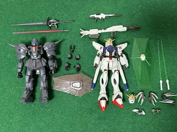 ROBOT혼 F91 데난 존