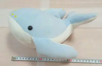 [ 지역 한정 상품 ] 고래 봉제 인형
