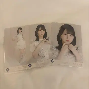사사키 마이카 브로마이드 컴프