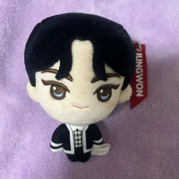 ENHYPEN 정원 제일복권 봉제 인형