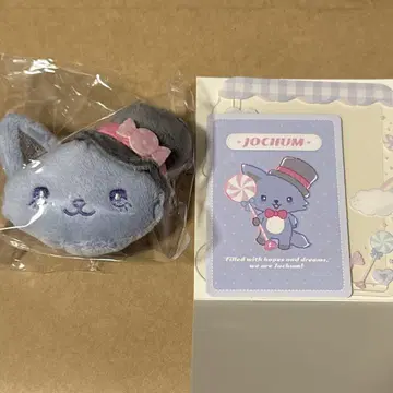 JOCHUM 캔디 시리즈 레인