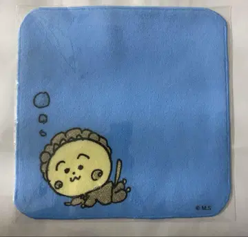 코지코지 손수건 푸쿠푸쿠