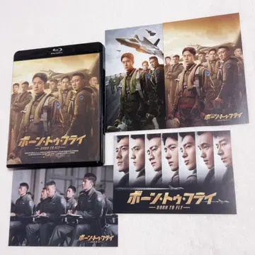 왕이보 본 투 플라이 [Blu-ray] DVD 엽서 세트