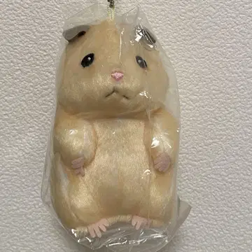 스케로쿠