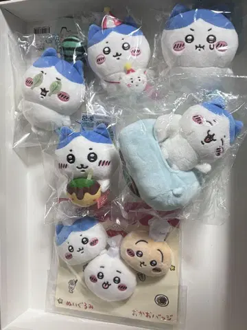 하치와레 6점 레스토랑 타코야키 수박 깨기 우키우키 PUN 드라이브