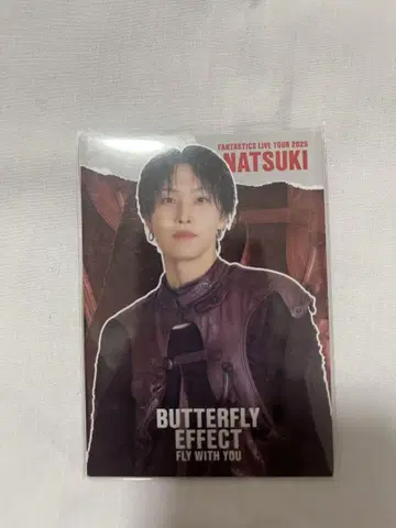 BUTTERFLY EFFECT 호리 나츠키 트레이딩 카드 시크릿