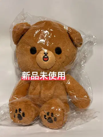 NCT 해찬 40cm 봉제 인형 이도 마스터 이곰도