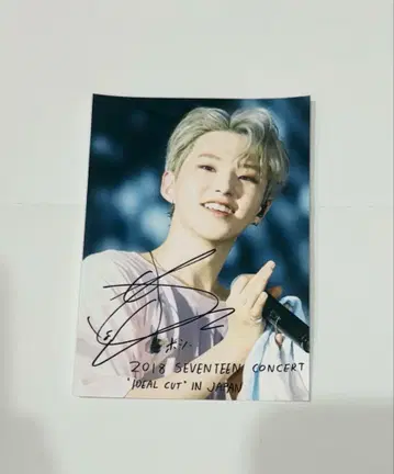 Seventeen 세부치 로손 프린트 ideal cut 호시 L판 1