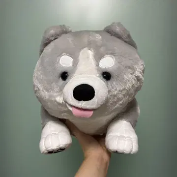 FAN 허스키 강아지 봉제 인형 XL 프리미엄