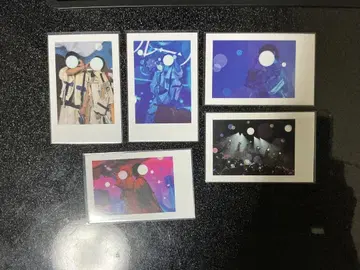이레우스 실사 폴라로이드