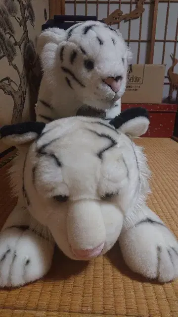 화이트 타이거 봉제 인형 세트