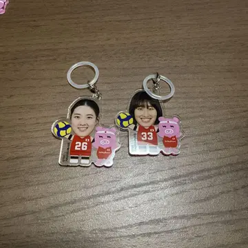 배구 여자 일본 대표 사토 요시노 아키모토 미쿠 아크릴 참