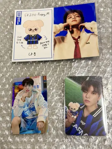 Stray Kids 승민 트레이딩 카드, PROFILE CARD