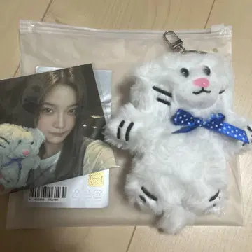 ILLIT 이로하 봉제 인형