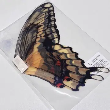 인형 딜러님 제작 나비 깃털 액세서리