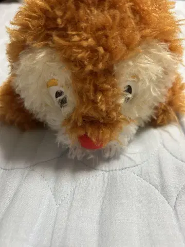 데일 봉제 인형