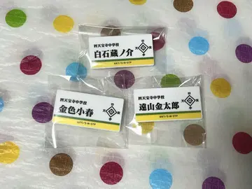 테니스의 왕자님 네임 배지 시텐호지 시로이시 골드 컬러 토야마