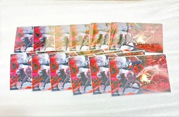 fgo KADOKAWA 클리어 카드 세트 오키타 소지 모리나가 요시카