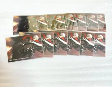 fgo KADOKAWA 클리어 카드 세트 에미야 알타
