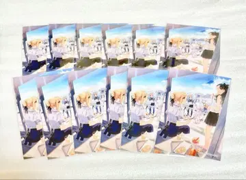 fgo KADOKAWA 클리어 카드 세트 에미야 밥 세이버 토오사카 린