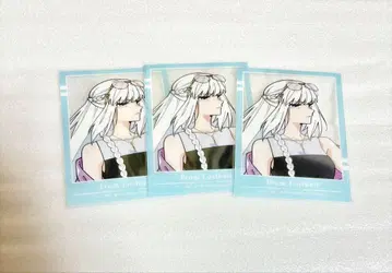 fgo KADOKAWA 클리어 카드 세트 모르간