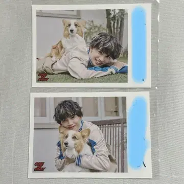 원온리 나오야 키라리 생일 스크래치 폴라로이드풍 사진
