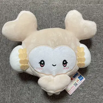 TWICELOVERYS 포켓 BIG 봉제 인형 gigo 산리오 다현