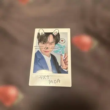 수빈