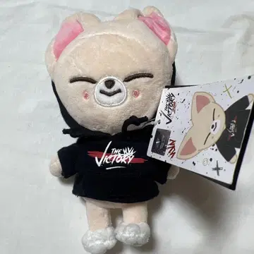 StrayKids 아이엔 폭시니 봉제 인형 MINI PLUSH